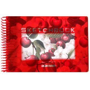 Скетчбук А5/40 "Bourgeois" /N9669/ ЧИСТІ аркуші, пластик обкл., на спіралі ,100г/м2 (1/80) 163541 фото