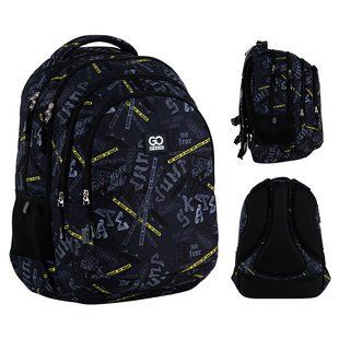 Рюкзак GoPack Teens 162L-5 go25-162l-5 фото