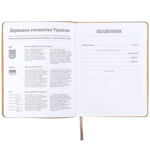 Щоденник шкільний, м'яка обкл. PU, GF gf25-283 фото